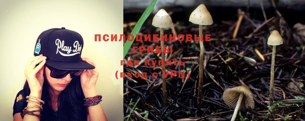 герыч Алзамай