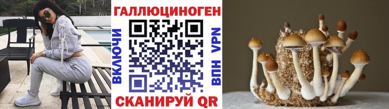 Галлюциногенные грибы прущие грибы  где купить наркоту  Николаевск-на-Амуре 