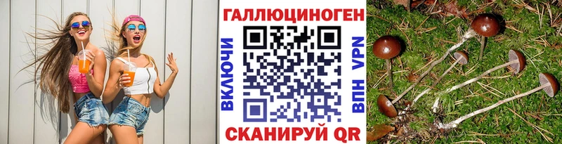 Галлюциногенные грибы ЛСД Николаевск-на-Амуре
